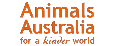 Animals Australia charity logo